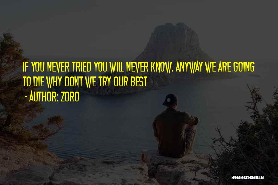 Zoro Quotes: If You Never Tried You Will Never Know. Anyway We Are Going To Die Why Dont We Try Our Best