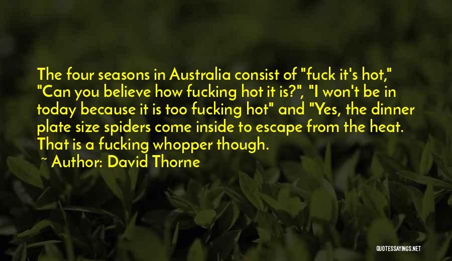 David Thorne Quotes: The Four Seasons In Australia Consist Of Fuck It's Hot, Can You Believe How Fucking Hot It Is?, I Won't