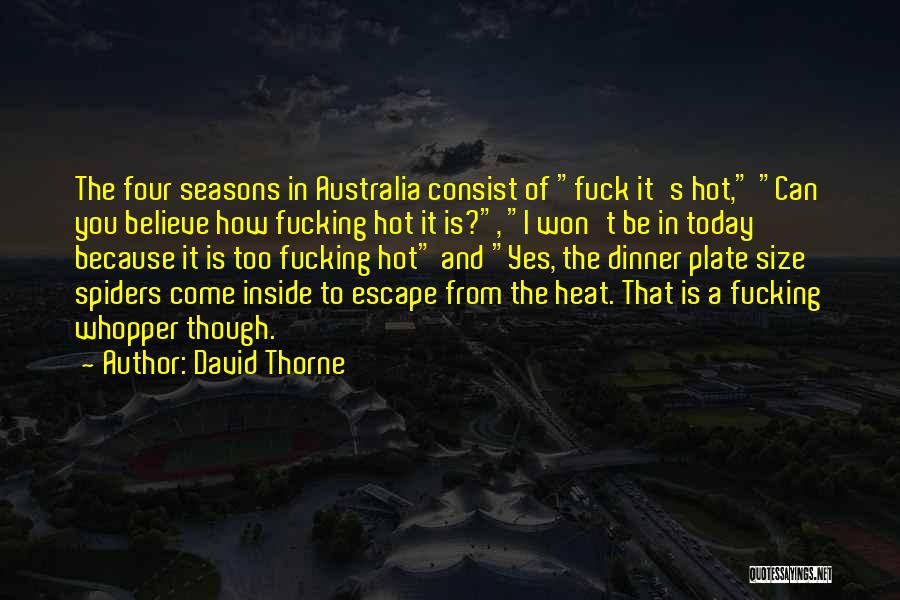 David Thorne Quotes: The Four Seasons In Australia Consist Of Fuck It's Hot, Can You Believe How Fucking Hot It Is?, I Won't