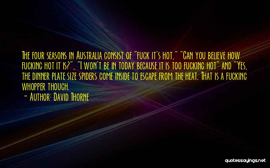 David Thorne Quotes: The Four Seasons In Australia Consist Of Fuck It's Hot, Can You Believe How Fucking Hot It Is?, I Won't