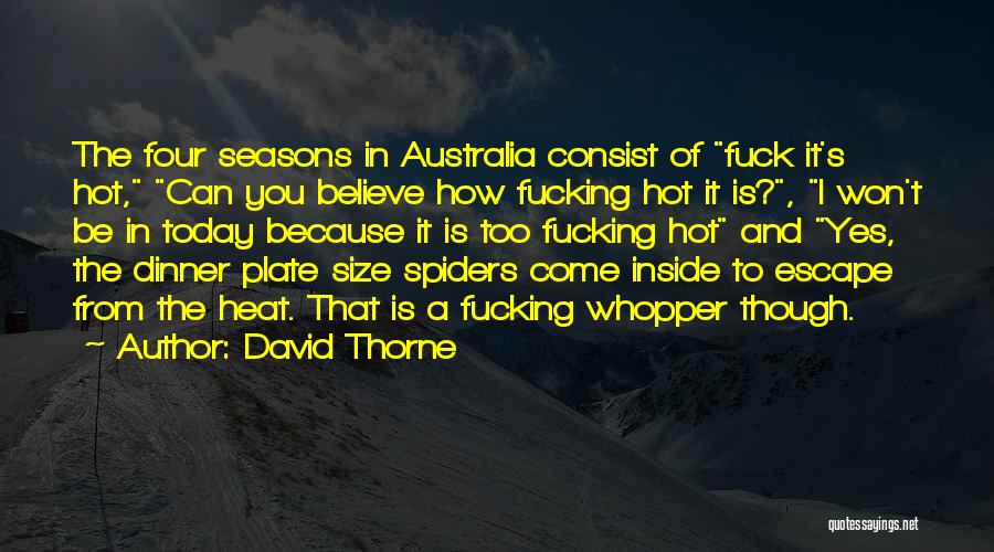 David Thorne Quotes: The Four Seasons In Australia Consist Of Fuck It's Hot, Can You Believe How Fucking Hot It Is?, I Won't