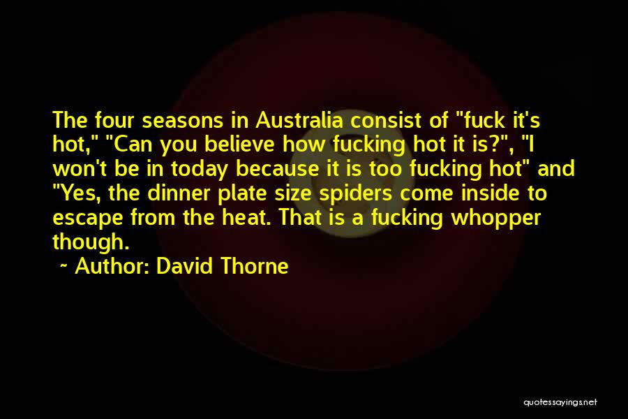 David Thorne Quotes: The Four Seasons In Australia Consist Of Fuck It's Hot, Can You Believe How Fucking Hot It Is?, I Won't