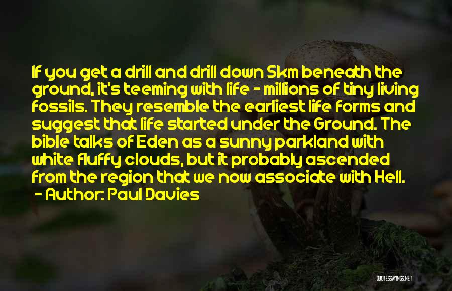 Paul Davies Quotes: If You Get A Drill And Drill Down 5km Beneath The Ground, It's Teeming With Life - Millions Of Tiny