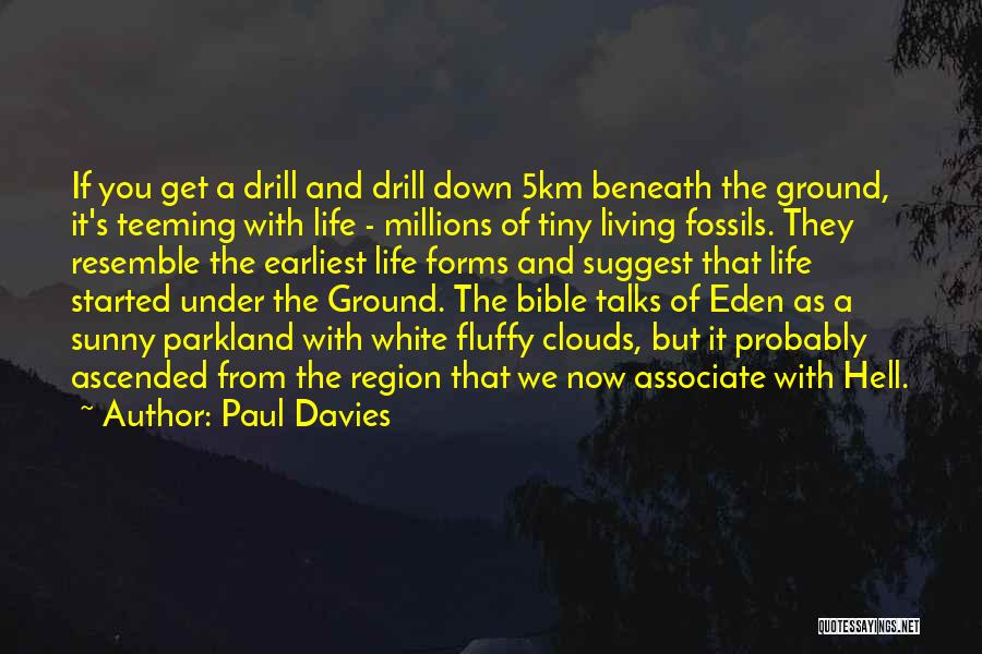 Paul Davies Quotes: If You Get A Drill And Drill Down 5km Beneath The Ground, It's Teeming With Life - Millions Of Tiny