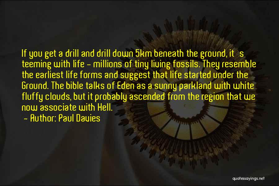 Paul Davies Quotes: If You Get A Drill And Drill Down 5km Beneath The Ground, It's Teeming With Life - Millions Of Tiny