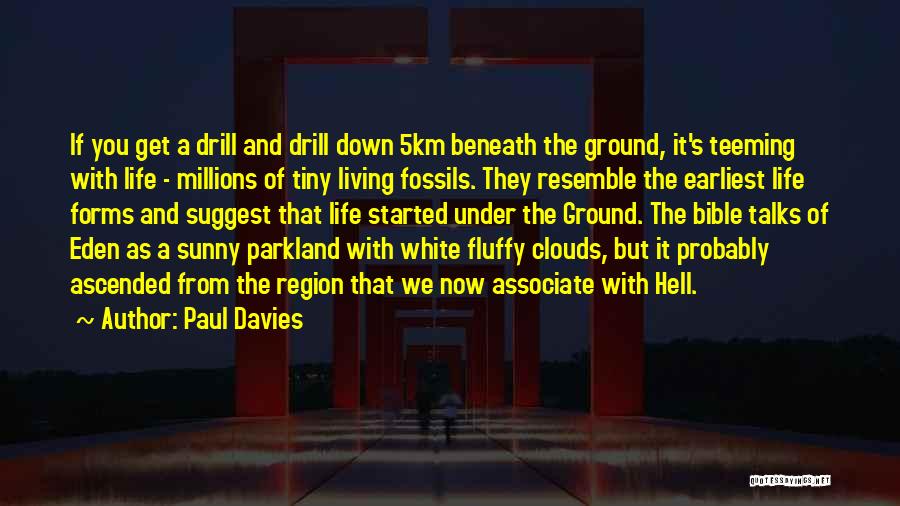 Paul Davies Quotes: If You Get A Drill And Drill Down 5km Beneath The Ground, It's Teeming With Life - Millions Of Tiny