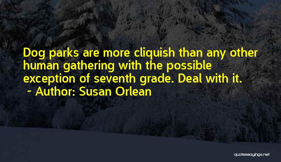 Susan Orlean Quotes: Dog Parks Are More Cliquish Than Any Other Human Gathering With The Possible Exception Of Seventh Grade. Deal With It.