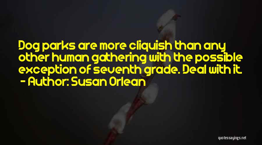 Susan Orlean Quotes: Dog Parks Are More Cliquish Than Any Other Human Gathering With The Possible Exception Of Seventh Grade. Deal With It.