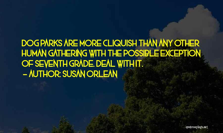 Susan Orlean Quotes: Dog Parks Are More Cliquish Than Any Other Human Gathering With The Possible Exception Of Seventh Grade. Deal With It.
