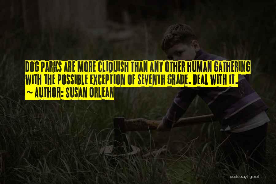 Susan Orlean Quotes: Dog Parks Are More Cliquish Than Any Other Human Gathering With The Possible Exception Of Seventh Grade. Deal With It.