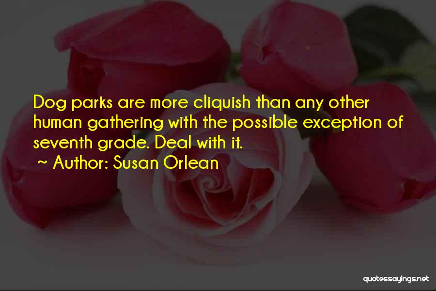 Susan Orlean Quotes: Dog Parks Are More Cliquish Than Any Other Human Gathering With The Possible Exception Of Seventh Grade. Deal With It.