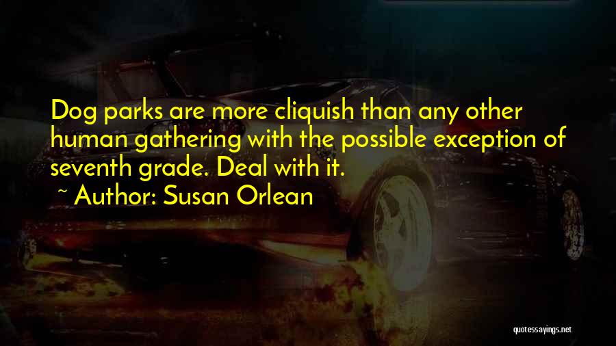 Susan Orlean Quotes: Dog Parks Are More Cliquish Than Any Other Human Gathering With The Possible Exception Of Seventh Grade. Deal With It.