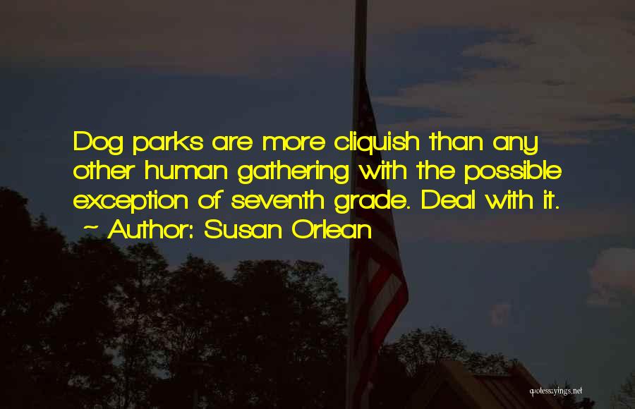 Susan Orlean Quotes: Dog Parks Are More Cliquish Than Any Other Human Gathering With The Possible Exception Of Seventh Grade. Deal With It.