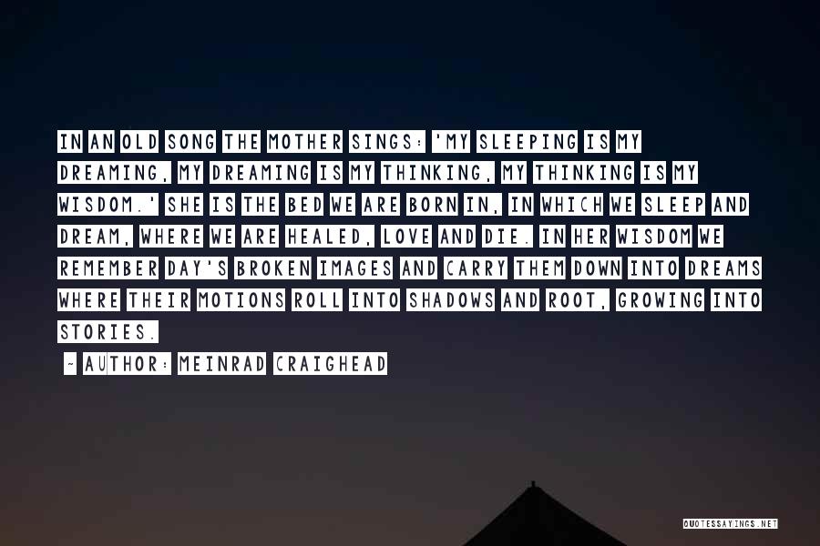 Meinrad Craighead Quotes: In An Old Song The Mother Sings: 'my Sleeping Is My Dreaming, My Dreaming Is My Thinking, My Thinking Is