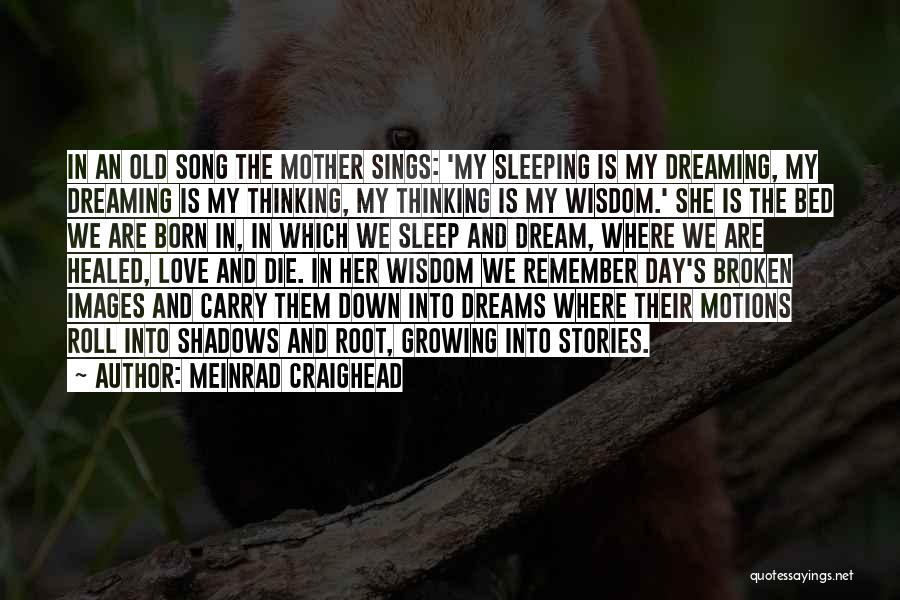 Meinrad Craighead Quotes: In An Old Song The Mother Sings: 'my Sleeping Is My Dreaming, My Dreaming Is My Thinking, My Thinking Is