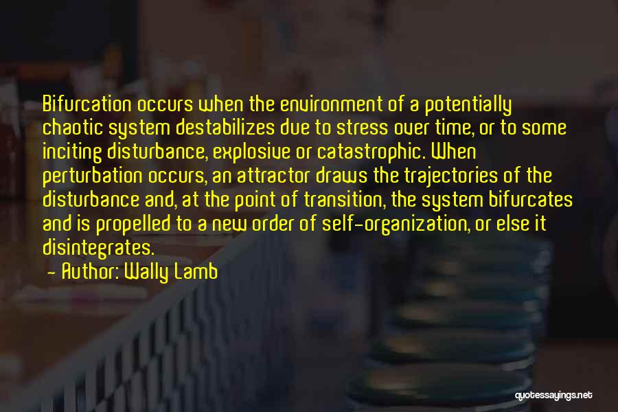 Wally Lamb Quotes: Bifurcation Occurs When The Environment Of A Potentially Chaotic System Destabilizes Due To Stress Over Time, Or To Some Inciting