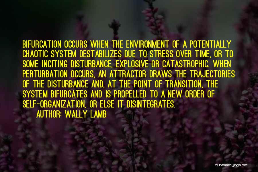 Wally Lamb Quotes: Bifurcation Occurs When The Environment Of A Potentially Chaotic System Destabilizes Due To Stress Over Time, Or To Some Inciting