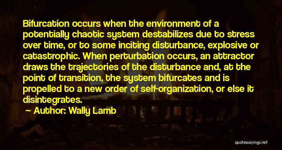 Wally Lamb Quotes: Bifurcation Occurs When The Environment Of A Potentially Chaotic System Destabilizes Due To Stress Over Time, Or To Some Inciting