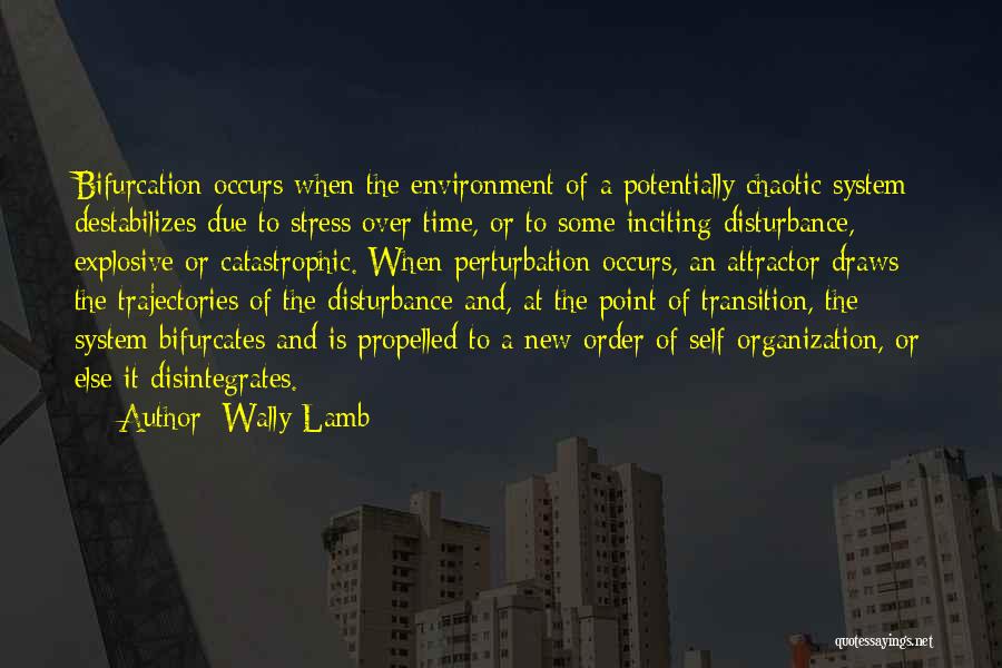 Wally Lamb Quotes: Bifurcation Occurs When The Environment Of A Potentially Chaotic System Destabilizes Due To Stress Over Time, Or To Some Inciting