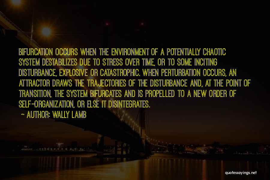 Wally Lamb Quotes: Bifurcation Occurs When The Environment Of A Potentially Chaotic System Destabilizes Due To Stress Over Time, Or To Some Inciting
