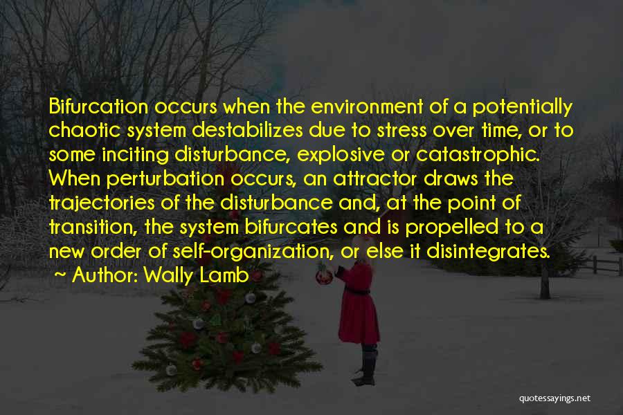 Wally Lamb Quotes: Bifurcation Occurs When The Environment Of A Potentially Chaotic System Destabilizes Due To Stress Over Time, Or To Some Inciting