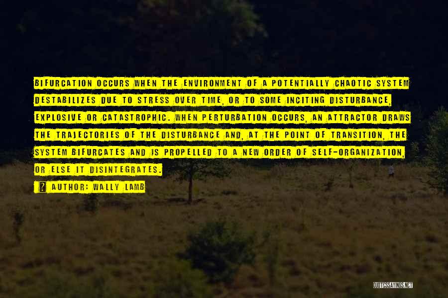 Wally Lamb Quotes: Bifurcation Occurs When The Environment Of A Potentially Chaotic System Destabilizes Due To Stress Over Time, Or To Some Inciting