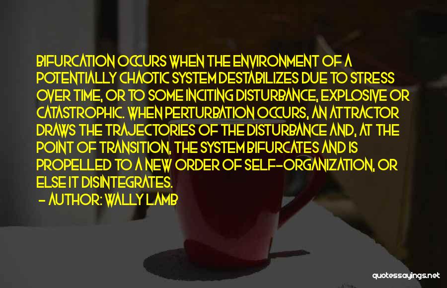 Wally Lamb Quotes: Bifurcation Occurs When The Environment Of A Potentially Chaotic System Destabilizes Due To Stress Over Time, Or To Some Inciting