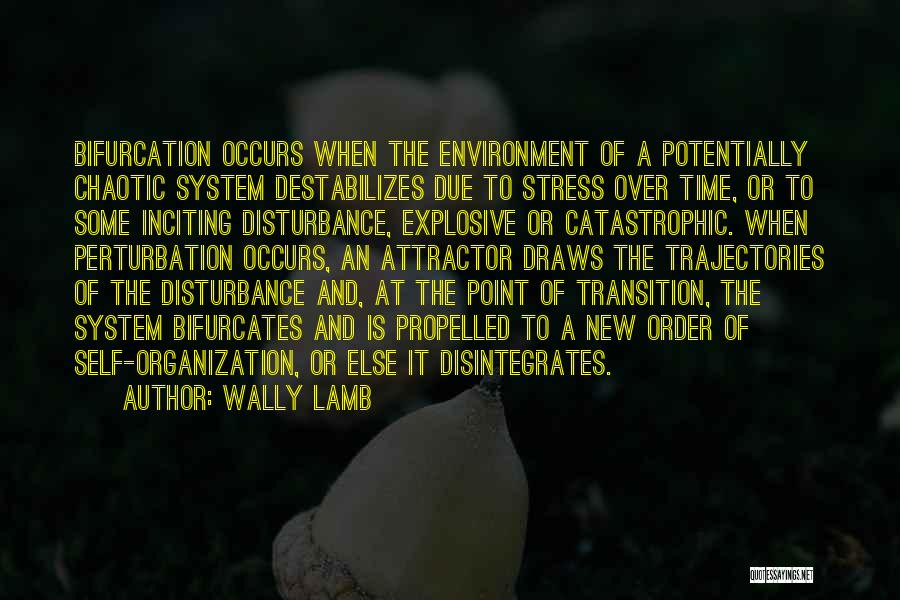 Wally Lamb Quotes: Bifurcation Occurs When The Environment Of A Potentially Chaotic System Destabilizes Due To Stress Over Time, Or To Some Inciting