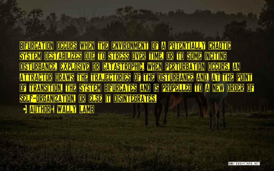 Wally Lamb Quotes: Bifurcation Occurs When The Environment Of A Potentially Chaotic System Destabilizes Due To Stress Over Time, Or To Some Inciting