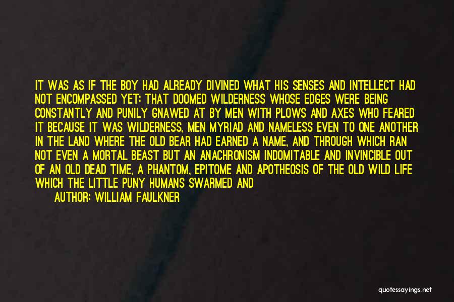 William Faulkner Quotes: It Was As If The Boy Had Already Divined What His Senses And Intellect Had Not Encompassed Yet: That Doomed
