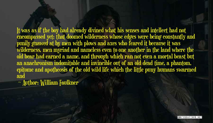 William Faulkner Quotes: It Was As If The Boy Had Already Divined What His Senses And Intellect Had Not Encompassed Yet: That Doomed