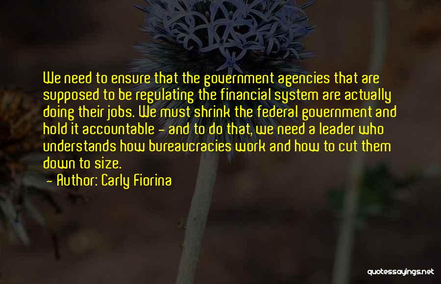 Carly Fiorina Quotes: We Need To Ensure That The Government Agencies That Are Supposed To Be Regulating The Financial System Are Actually Doing