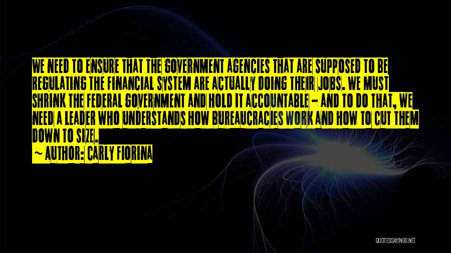 Carly Fiorina Quotes: We Need To Ensure That The Government Agencies That Are Supposed To Be Regulating The Financial System Are Actually Doing
