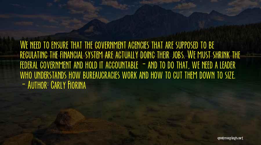 Carly Fiorina Quotes: We Need To Ensure That The Government Agencies That Are Supposed To Be Regulating The Financial System Are Actually Doing