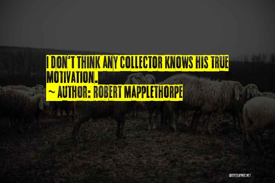 Robert Mapplethorpe Quotes: I Don't Think Any Collector Knows His True Motivation.