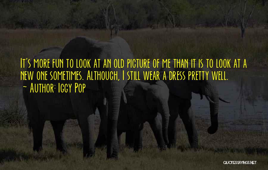 Iggy Pop Quotes: It's More Fun To Look At An Old Picture Of Me Than It Is To Look At A New One