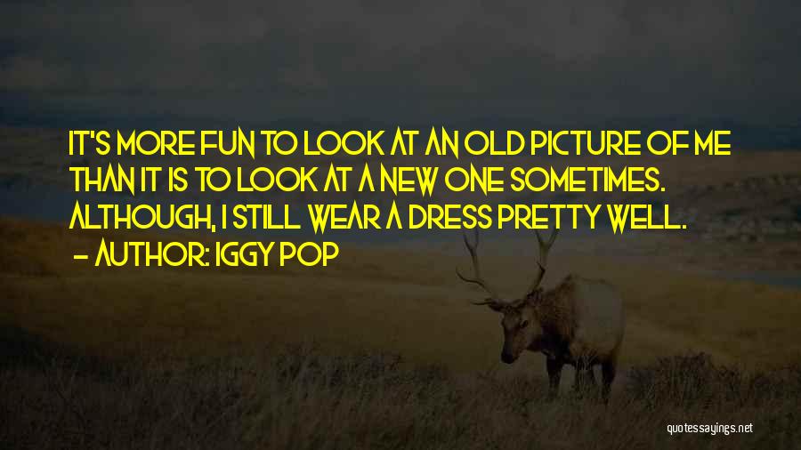 Iggy Pop Quotes: It's More Fun To Look At An Old Picture Of Me Than It Is To Look At A New One
