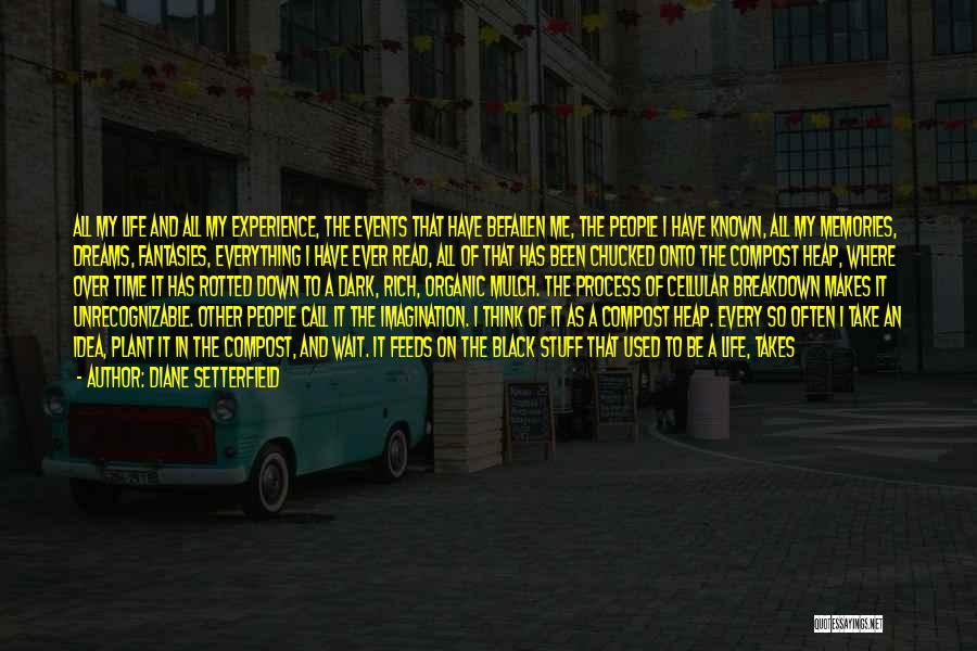 Diane Setterfield Quotes: All My Life And All My Experience, The Events That Have Befallen Me, The People I Have Known, All My