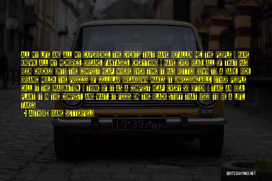 Diane Setterfield Quotes: All My Life And All My Experience, The Events That Have Befallen Me, The People I Have Known, All My