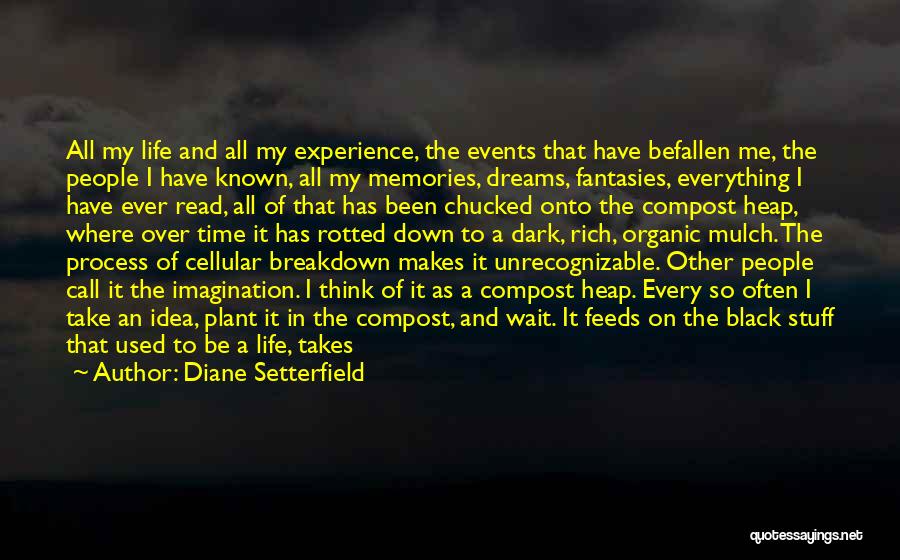 Diane Setterfield Quotes: All My Life And All My Experience, The Events That Have Befallen Me, The People I Have Known, All My