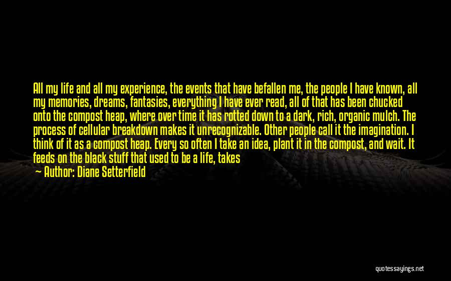 Diane Setterfield Quotes: All My Life And All My Experience, The Events That Have Befallen Me, The People I Have Known, All My