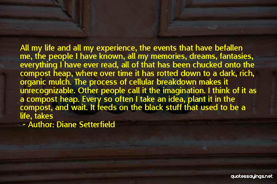 Diane Setterfield Quotes: All My Life And All My Experience, The Events That Have Befallen Me, The People I Have Known, All My