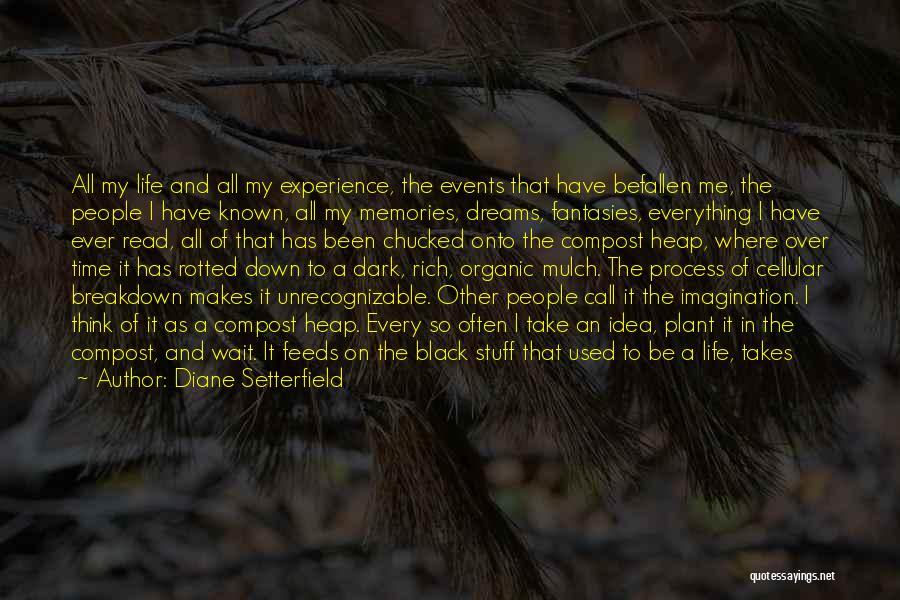 Diane Setterfield Quotes: All My Life And All My Experience, The Events That Have Befallen Me, The People I Have Known, All My