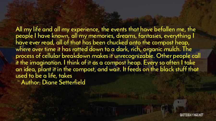 Diane Setterfield Quotes: All My Life And All My Experience, The Events That Have Befallen Me, The People I Have Known, All My