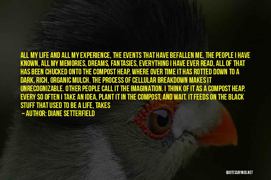 Diane Setterfield Quotes: All My Life And All My Experience, The Events That Have Befallen Me, The People I Have Known, All My