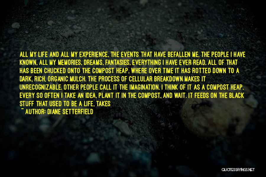 Diane Setterfield Quotes: All My Life And All My Experience, The Events That Have Befallen Me, The People I Have Known, All My