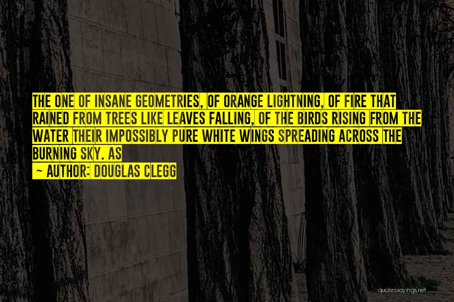 Douglas Clegg Quotes: The One Of Insane Geometries, Of Orange Lightning, Of Fire That Rained From Trees Like Leaves Falling, Of The Birds