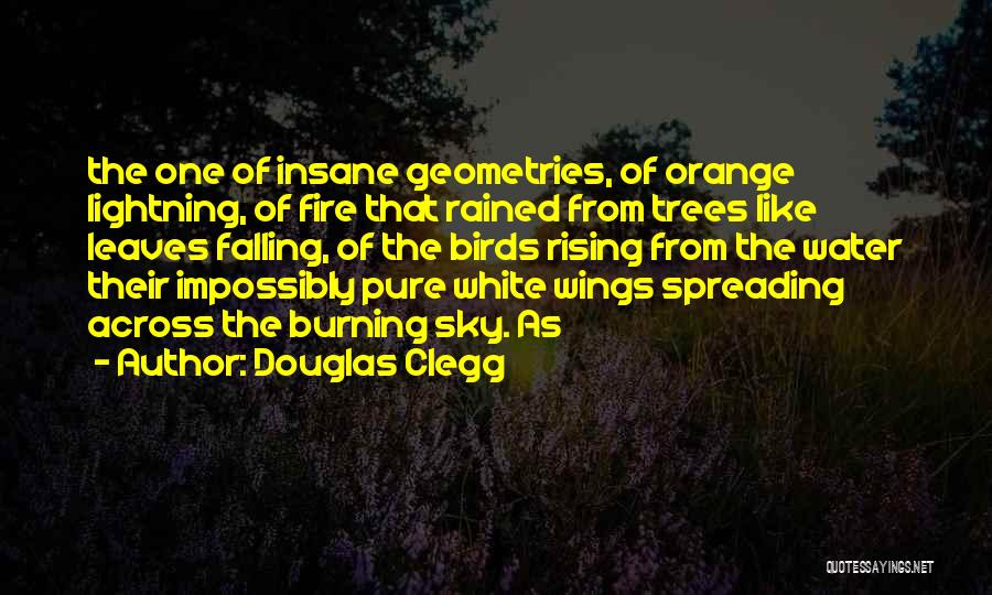 Douglas Clegg Quotes: The One Of Insane Geometries, Of Orange Lightning, Of Fire That Rained From Trees Like Leaves Falling, Of The Birds