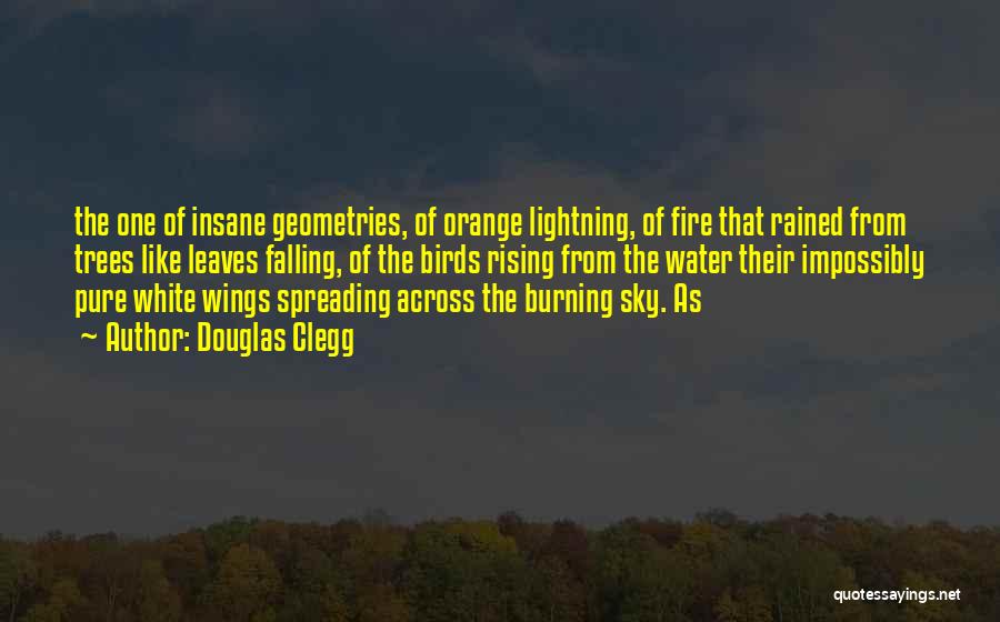 Douglas Clegg Quotes: The One Of Insane Geometries, Of Orange Lightning, Of Fire That Rained From Trees Like Leaves Falling, Of The Birds