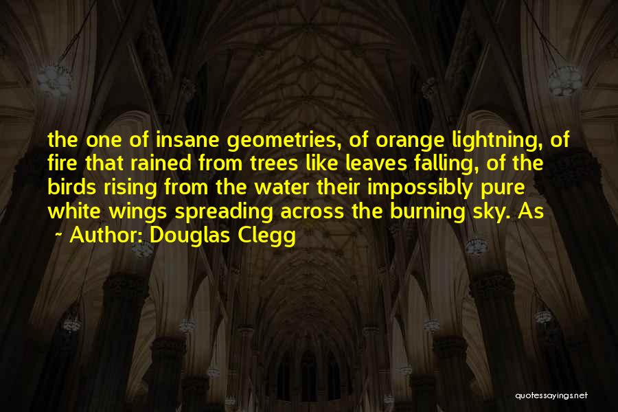 Douglas Clegg Quotes: The One Of Insane Geometries, Of Orange Lightning, Of Fire That Rained From Trees Like Leaves Falling, Of The Birds